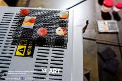 214373395_1073129529881921_709137655952354103_n