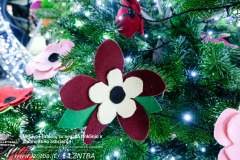 269792652_1175315606329979_7783136084628842250_n